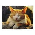 thumbnail image 5 of GOSMITH Tapestry 40x30 Inch,forest sleep cat,Wall Hanging Room Tapestry Wall Decor for Living Room Bedroom, 5 of 7