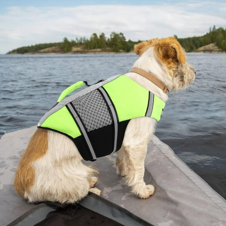 Queenmore Dog Life Jacket Swimming Vest Small Medium Dogs Neoprene Water Boating Life Preserver Lightweight Reflective Cat Puppy Kayaking Lifesaver