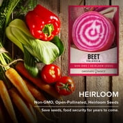 Chioggia Beet Seeds