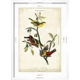 thumbnail image 5 of Art.com Painted Bunting Art Print by John James Audubon, White Frame Wall Art, 17" x 23", 5 of 5