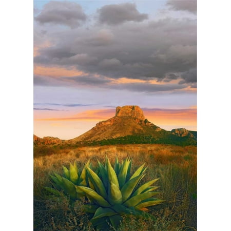 Lechuguilla agave and Casa Grande Big Bend National Park Texas Poster Print by Tim