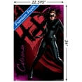 thumbnail image 3 of DC Comics Movie - The Dark Knight Rises - Catwoman Wall Poster with Push Pins, 22.375" x 34", 3 of 6