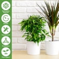 thumbnail image 4 of 5Pcs Plant Support Stakes for Potted Plants Simulated Tree Branch Plant Stakes Sticks Adjustable Twig Plant Support Stake Easy to Assemble Plant Sticks Support with Cable Ties for Flower Vine, 4 of 9