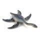 thumbnail image 2 of Gwong Juguete Plesiosaur Modelo Simulación Niños Regalo PVC Jurásics Plesiosaur Figura de acción Juguetes para Decoración Gwong 30009438, 2 of 6