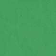 thumbnail image 4 of Playera Blusa Mujer con Frase Positiva Eres Bella Fabulosa y Fuerte Moda Casual Inspiradora Color Verde Talla Grande Marca Emil SaEs, 4 of 4