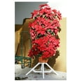 thumbnail image 6 of Strawberry Planter 5-Tier Pink - Stackable Garden Pots with Saucer - Vertical Gardening for Strawberries, Herbs, Flowers - Easy Assembly, Self-Watering, 6 of 6