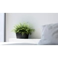 thumbnail image 3 of Ecopots Sofia Durable Modern Oval Indoor/Outdoor Recycled Based Composite Flower Pot Planter w/ Water Reservoir, Dark Grey, 16", 3 of 4