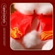 thumbnail image 5 of Traje Tang de oreja roja 25cm [023 kg] Año del conejo mascota muñeca despertar León conejo peluche juguete regalo de Año Nuevo ANGGREK  Otros, 5 of 8