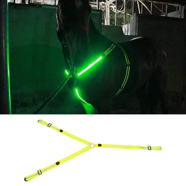 Collier de Cheval LED Bride Licou USB Rechargeable Réfléchissant Lumineux Collier Équestre Performance Sangles Décoratives