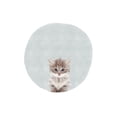 thumbnail image 2 of Straatsma, Leah 26x32 White Modern Wood Framed Museum Art Print Titled - Baby Circle Kitten, 2 of 4