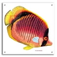 thumbnail image 1 of Epic Art 'New Fish 1' by Olga and Alexey Drozdov, Acrylic Glass Wall Art, 24"x24", 1 of 8