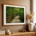 thumbnail image 4 of Trail at Hoyt Farm Nature Preserve, Commack 01 - Commack New York Photography Woodland Forest Nature Rustic Scenic Wilderness Countryside Oak Framed Wall Art Print 24 x 36 inches, 4 of 6
