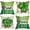 Mason Jar, variant on Happy St. Patrick''s Day Decorative Throw Pillow Covers 18x18 Set of 4, Lucky Blessed Shamrock Clover Mason Jar Cushion Case Decor, Buffalo Plaid Farmhouse Irish Holiday Home Decoration for Sofa