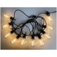 thumbnail image 2 of G80 Edison Light Set with Black Wire - Warm White, 10 Lights, 2 of 2