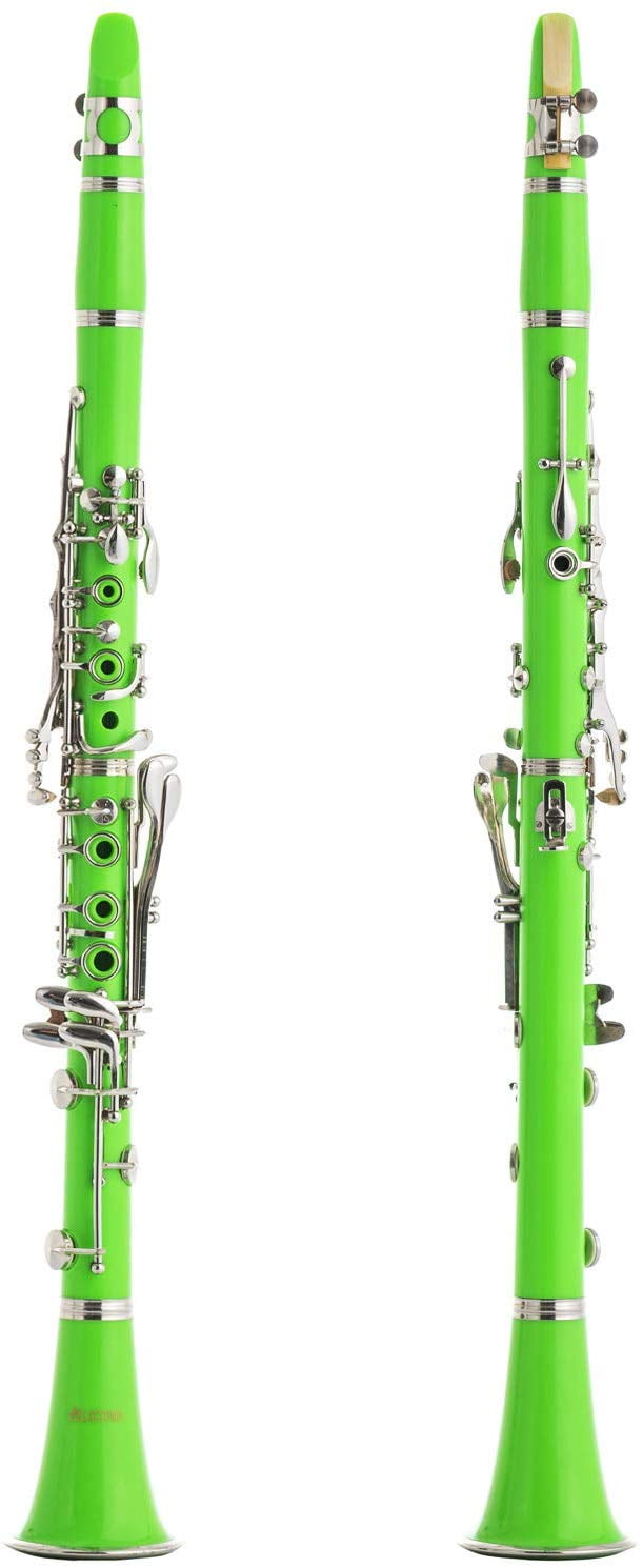 LAGRIMA B Flat Beginner Student with 2 Barrels, Case, Stand,10