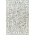 thumbnail image 2 of Mark&Day Area Rugs, 8x10 Stepfon Traditional Medium Gray Area Rug, Medium Gray Off-White Ice Blue Carpet for Living Room, Bedroom or Kitchen (7'10" x 10'2"), 2 of 4