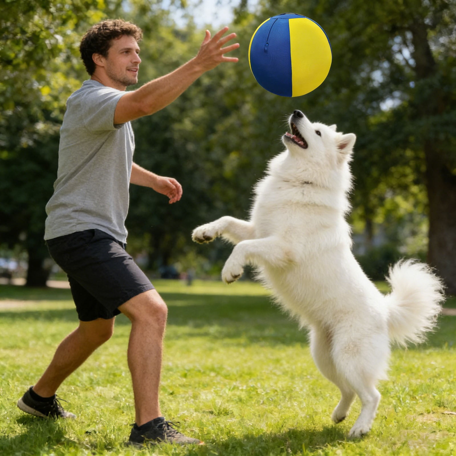Interactive Training and Exercise Toy for Dogs with Chew Material and Light-Responsive