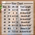 thumbnail image 3 of Jamicy Mesh Ballet Flats for Women Embroidered Floral Round-Toe Mary Jane Flats Comfortable Casual Daily Dress Ballerina Shoes, 3 of 8