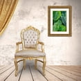 thumbnail image 3 of Engelbrecht, Jim 23x32 Gold Ornate Wood Framed with Double Matting Museum Art Print Titled - Anthurium foliage, 3 of 4