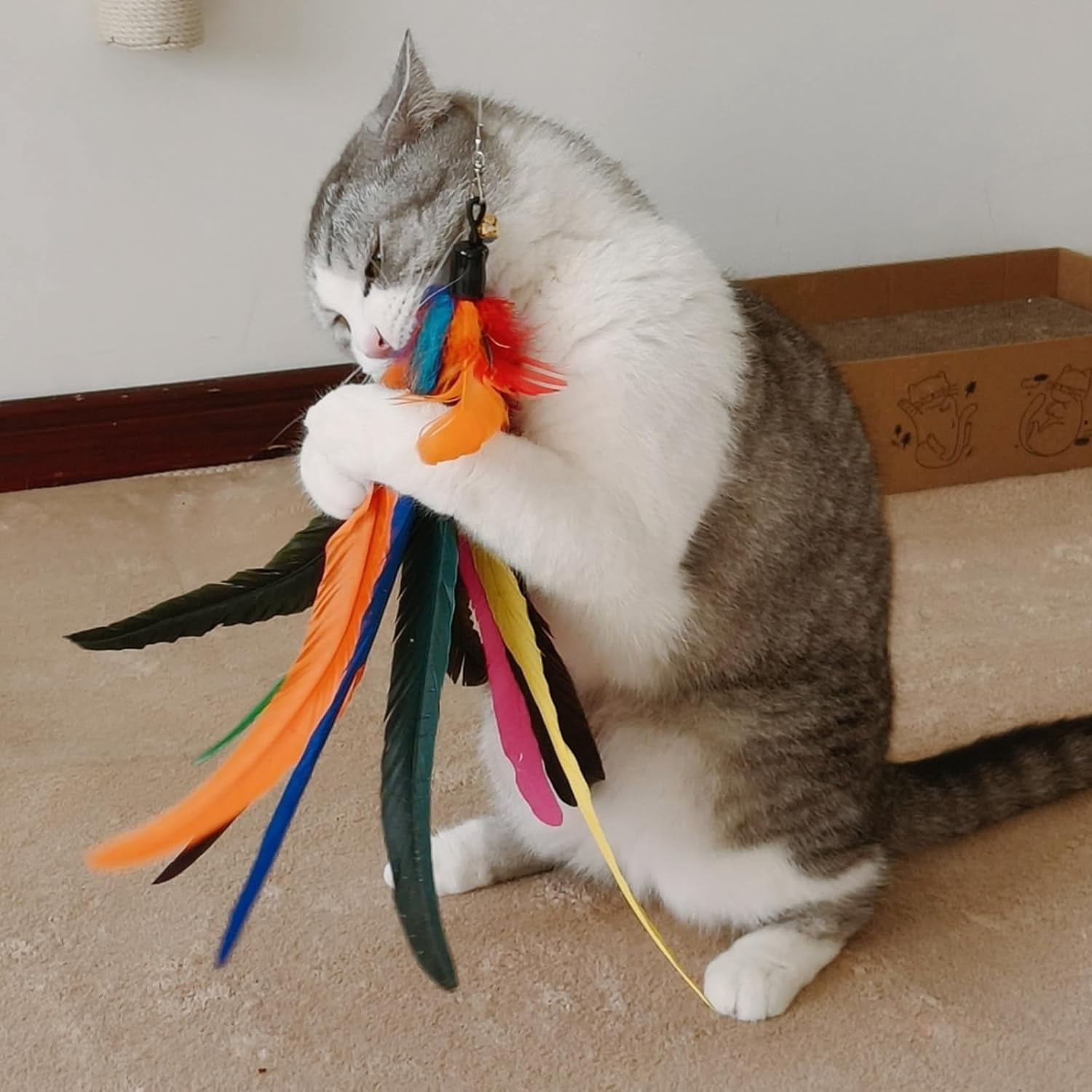 miwoowim Cat Toys Interactive for Indoor Cats, 2PCS Ultra-Long Teaser(50"+38")+9PCS Da Bird Feather Refills, Fishing Pole Toy,Retractable Cat Wand Toy and Feather Toys Refills Attachment Replacement