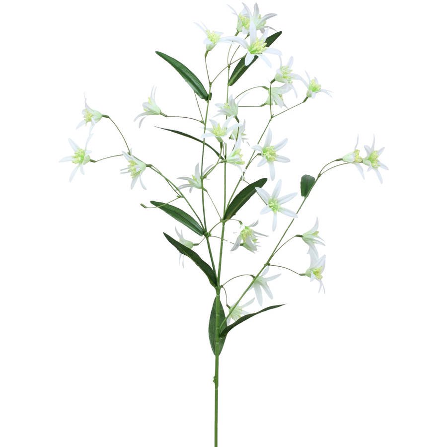 Jasmine Spray Stem, 1 Each