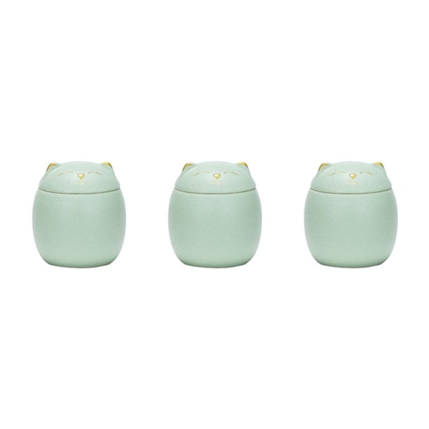 Injueey Tarro de té de cerámica para amantes del té, amplia aplicación, resistente y duradero, portátil, a prueba de humedad, verde, 500ml Type1 NO1