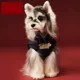 thumbnail image 4 of Ropa Para Perros Otoño E Invierno, 4 of 7