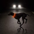thumbnail image 5 of Led Dog Collar - Usb Rechargeable Light Up Dog Collar Glow In The Dark Led Luminous Collar, 5 of 5
