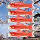 thumbnail image 4 of Bandera de carpa de 70 cm, cometa de bandera de pez colgante colorido para regalo de Koinobori (rojo) Ndcxsfigh  Libre de BPA, 4 of 8