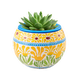 thumbnail image 1 of Rompecabezas 3D Maceta Flores De Verano 80 Piezas De Plástico Piecerelax, 1 of 4