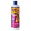 Mane 'n Tail Spirit Shampoo 11.2 fl