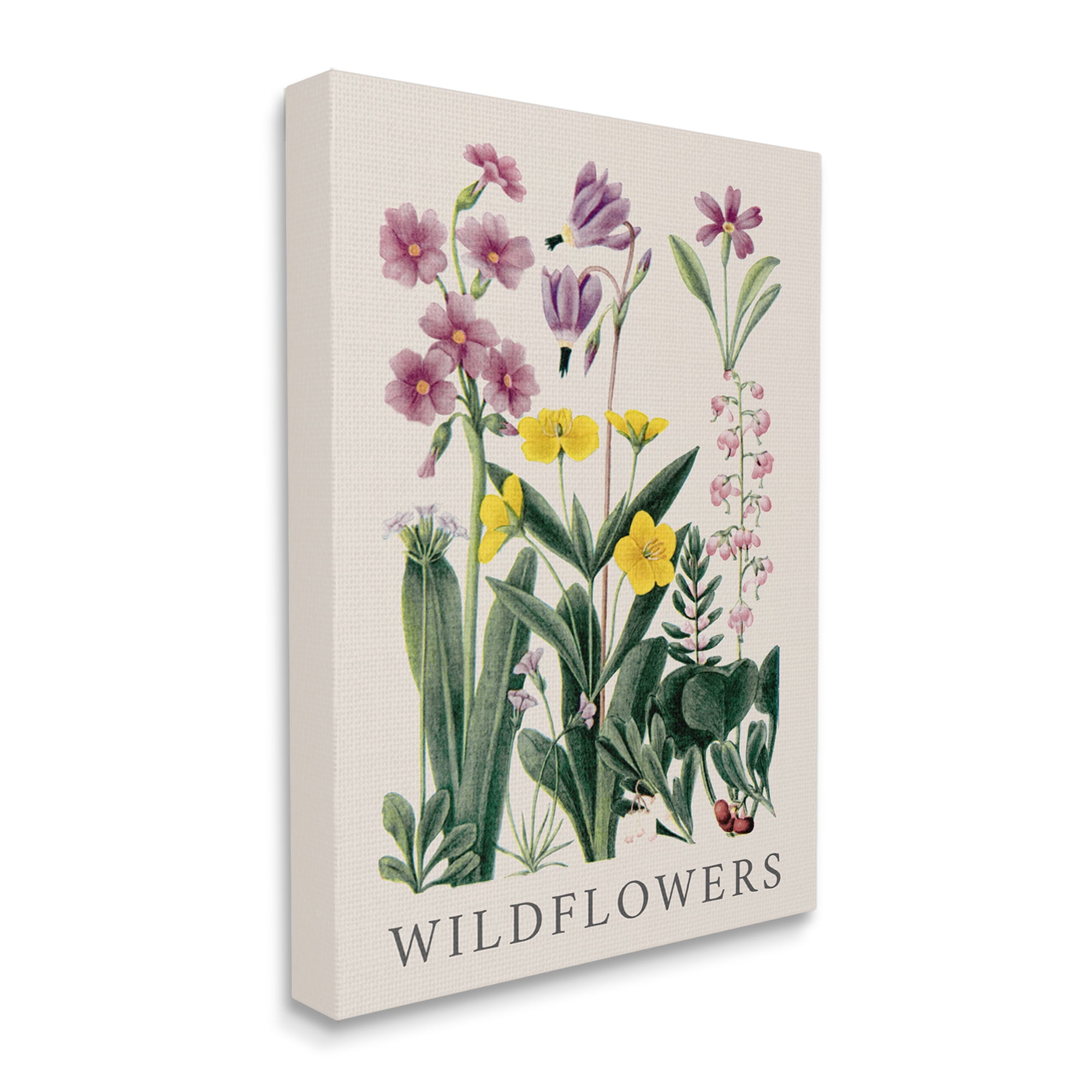 Stupell Industries Various Wildflowers Study Botanical & Floral Painting Gallery Wrapped Canvas Art Print Wall Art, 30 x 40
