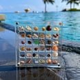 thumbnail image 3 of Oiur Acrylic Magnetic Seashell Display Box 36/64 Grids Square Small Crafts Nail Art Bead Charm Jewelry Show Organizer Container Case, 3 of 12