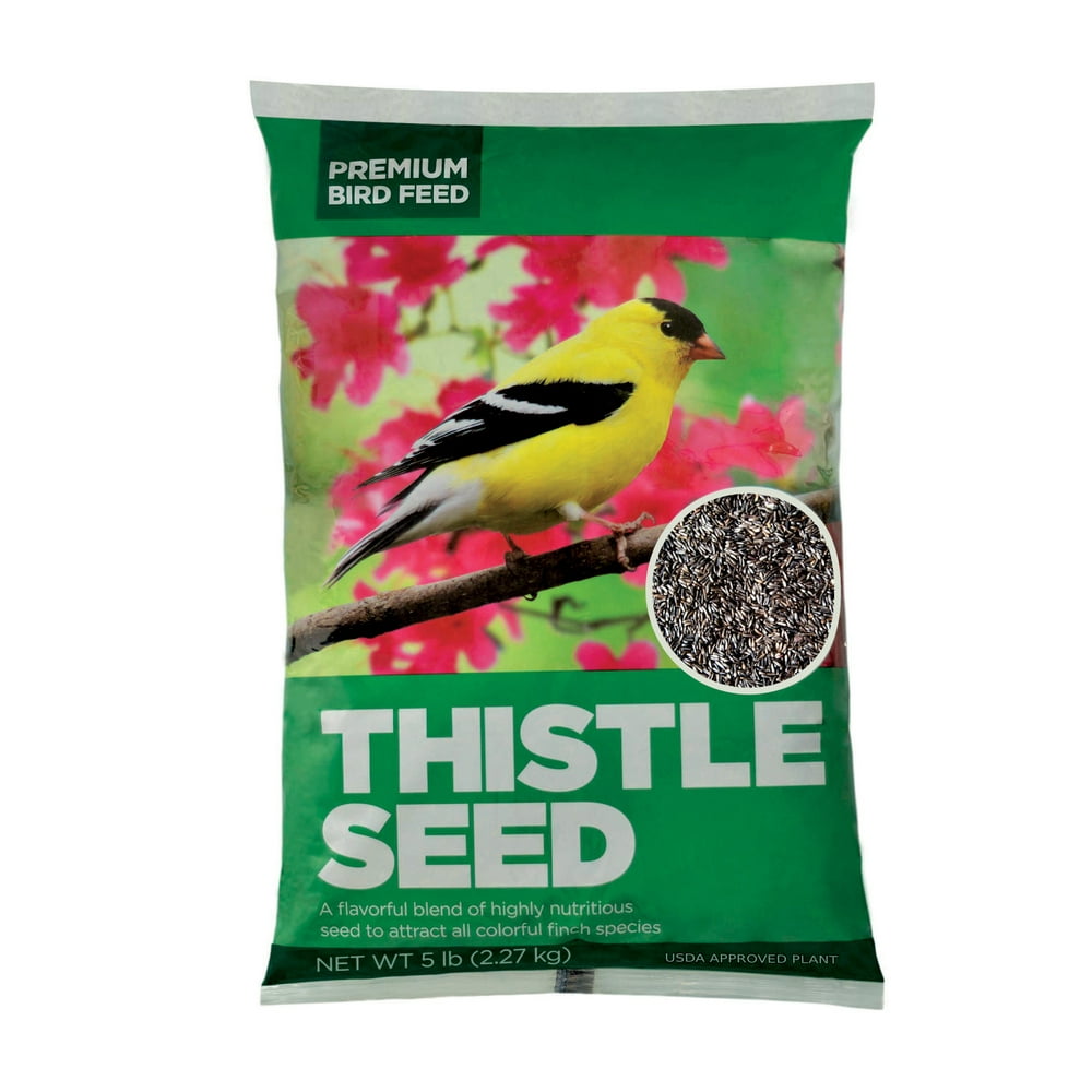 Premium Sterilized Natural Black Thistle Seed,Wild Bird Feed 5LB