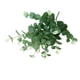 thumbnail image 3 of Flor artificial 4 ramas Flor falsa con hojas Oficina en casa Fiesta de bodas Decoración floral artificial, Verde kenally HA6518-02B, 3 of 6