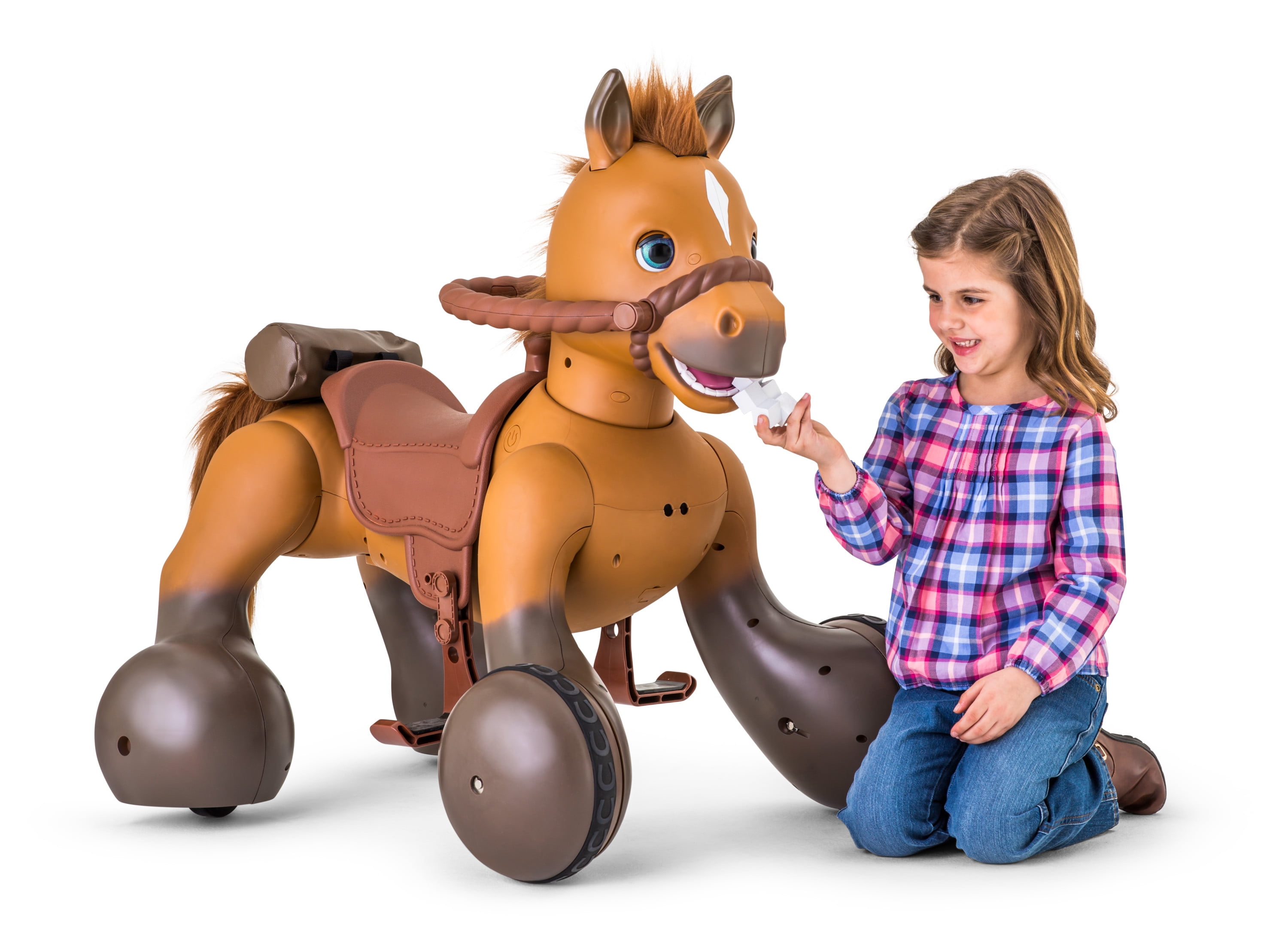 rideamals accessories