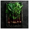 thumbnail image 2 of Everwilde Farms - 1/4 lb Organic Lutz Green Leaf Beet Seeds - Gold Vault Bulk Seed Packet, 2 of 3