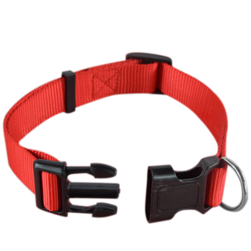 Adjustable Suitable Nylon Pet Puppy Cat Dog Collar Buckle XS S M L Free Shipping