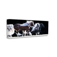 thumbnail image 2 of Stupell Industries Colt Horse Stampede Country Field Modern Equestrian Photography, 40 x 17,Design by PHBurchett, 2 of 5
