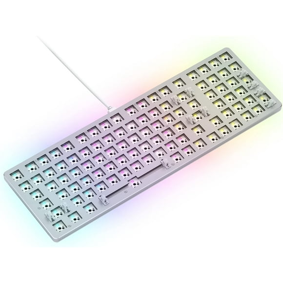 ERDS-Glorious Gaming Keyboard - GMMK 2 Hot Swappable TKL Mechanical Keyboard, Wired, Custom Keyboard - Custom Mechanical Keyboard - Premium Barebones - Full Size Keyboard (White RGB Keyboard)