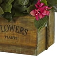 thumbnail image 3 of Bougainvillea in Rustic Wood Planter, 3 of 3