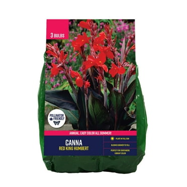 Van Zyverden Canna Red King Humbert (Set of 3 Dormant Bulbs) Full Sun, Red, Annual