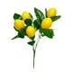 thumbnail image 2 of Decoración del hogar, decoración de la habitación, decoración de la pared, rama de limón artificial, fruta de limón, flor artificial, decoración verde, decoración del hogar, decoración de arreglos flo, 2 of 6