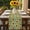 Green, variant on Orange Sunflowers Fall Table Runner - 72 Inch Long, Kitchen Dining Table Runner Dresser Scarves, Thanksgiving Botanical Floral Farmhouse Decor for Coffee Tables Wedding Party Banquet