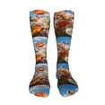 thumbnail image 5 of Rateoe Vibrant Field Of Blossoms print Women's Men's Novelty 20in Crew Socks Cotton Socks Knee High Socks for Walking,Running,Nurses,Pregnancy-One Size, 5 of 8