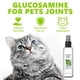 thumbnail image 3 of Spray Herbal Cat Joy, spray de hierba gatera Celery Pets, spray de hierba gatera para gatos B6C1, 3 of 5