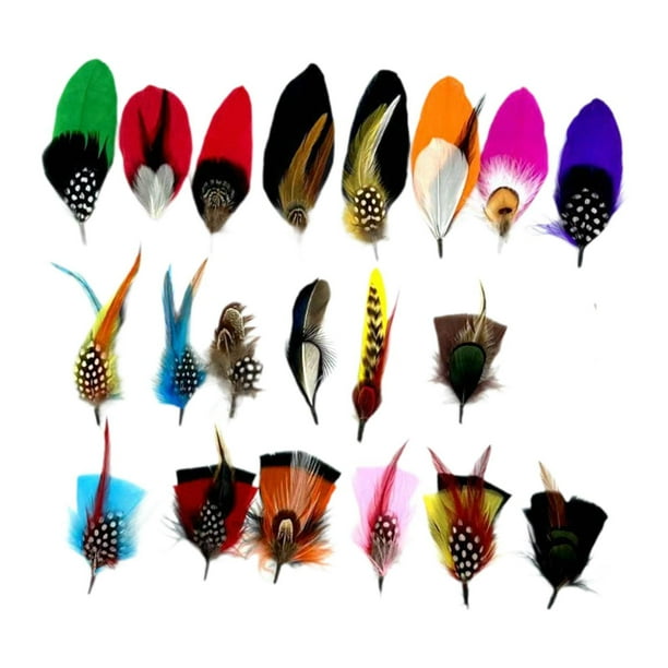 Plumas de sombrero para sombreros Fedora, plumas artesanales para decoración de bodas, fiestas de disfraces Cantidad 20