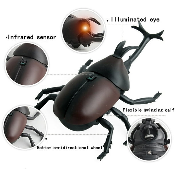 electronic cockroach toy