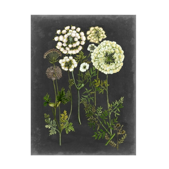Trademark Fine Art Naomi Mccavitt Bookplate Floral Ii Canvas Wall Art - 18x24