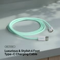thumbnail image 3 of Liquipel Powertek Pastel Braided USB-C to USB-C - Mint, 3 of 7
